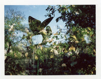 Fujifilm FP-100C (цветные) Fotovramke 