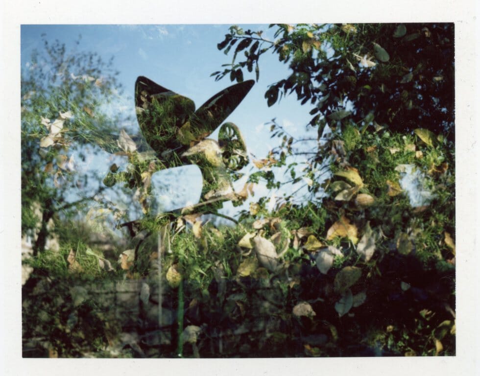 Fujifilm FP-100C (цветные) Fotovramke 