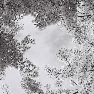 Плівка Kodak T-Max 400/120 Fotovramke 