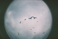 Fisheye One Red Fotovramke 