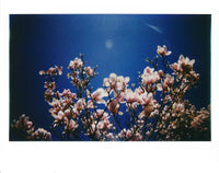 Моментальна камера Lomo Instant Wide Black и 3 об`єктива Fotovramke 