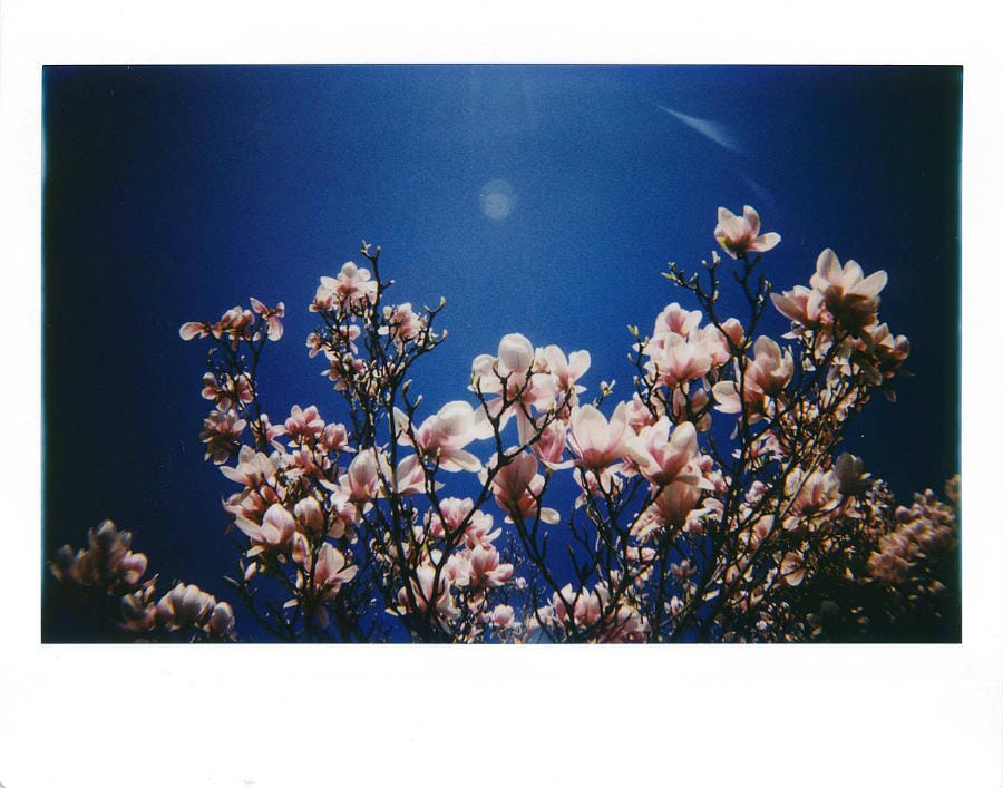Моментальна камера Lomo Instant Wide Central Park Fotovramke 