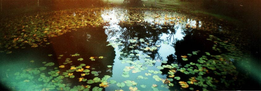 Sprocket Rocket Superpop yellow Fotovramke 