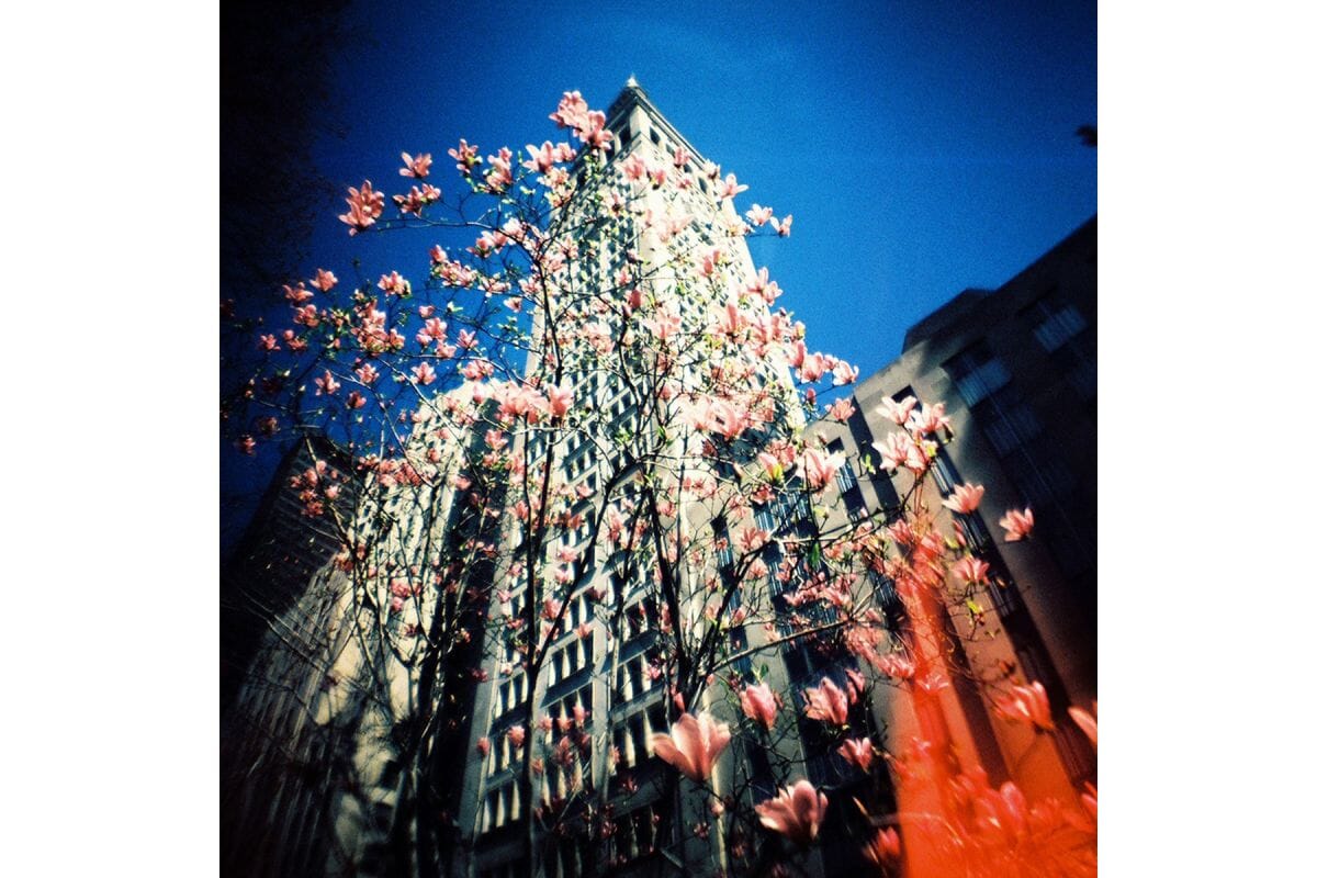 Камера Diana F+ Nami Edition Fotovramke 